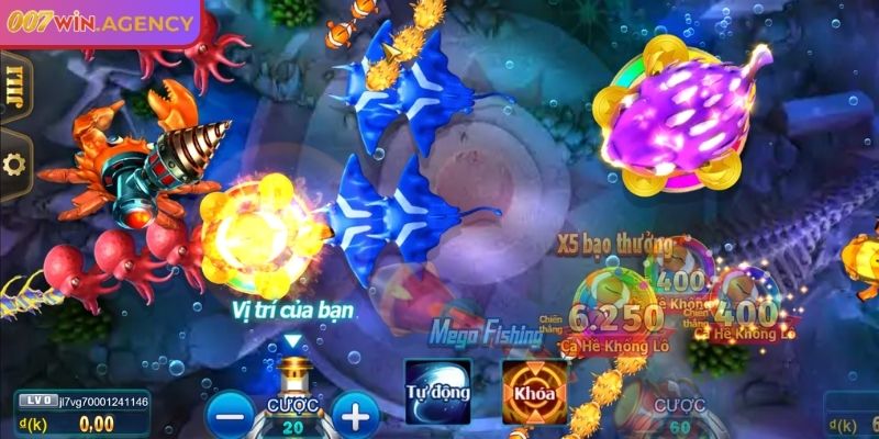 Chiến thuật săn cá theo đợt sóng